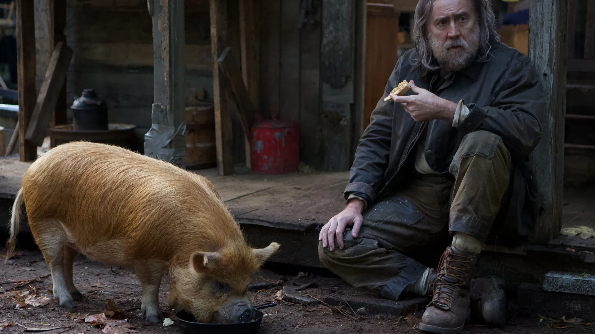 Pig A Vingança