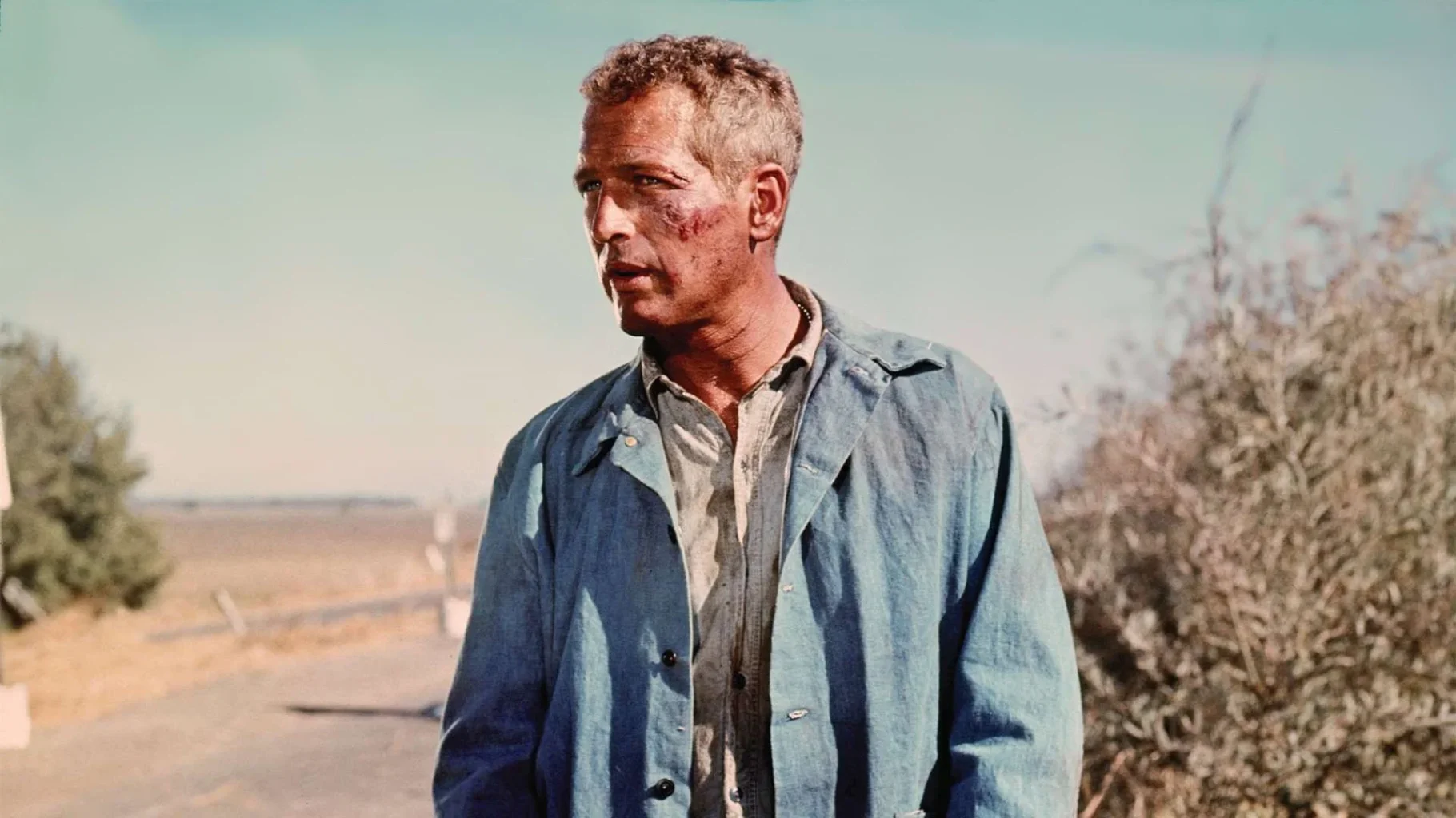 Rebeldia Indomavel 1967 Paul Newman HBO Max